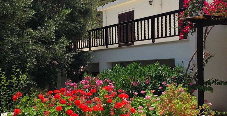 Ambelia Village