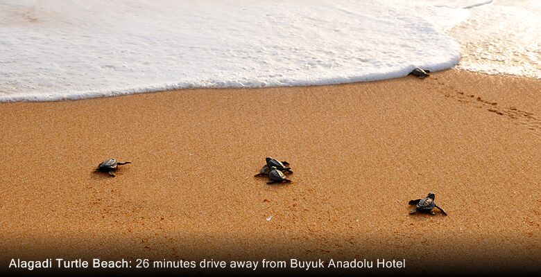 Buyuk Anadolu Hotel