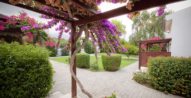 Citrus Tree Gardens