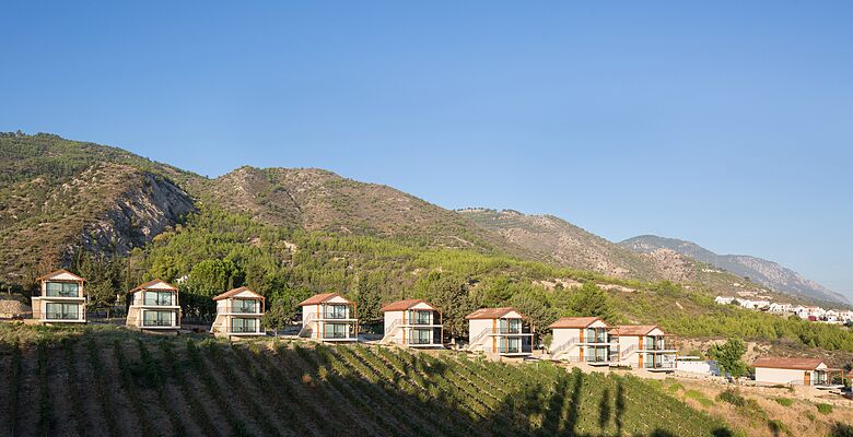 Gillham Vineyard Boutique Hotel