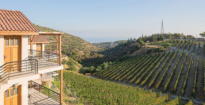 Gillham Vineyard Boutique Hotel