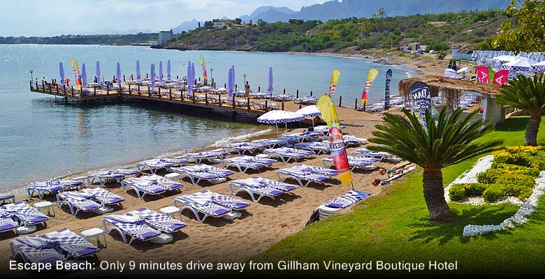 Gillham Vineyard Boutique Hotel