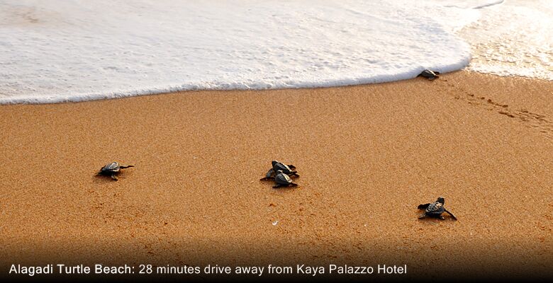 Kaya Palazzo Hotel
