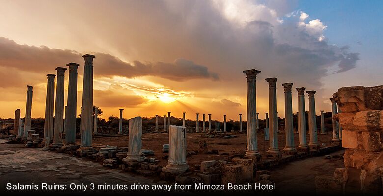 Mimoza Beach Hotel
