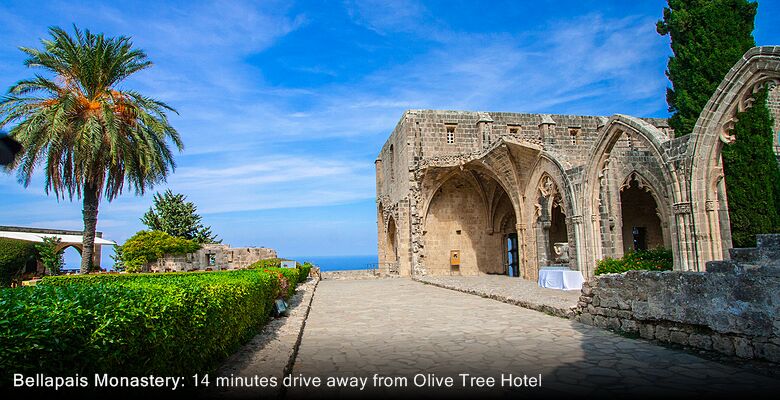 Olive Tree Hotel
