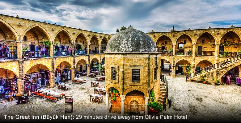 Olivia Palm Hotel