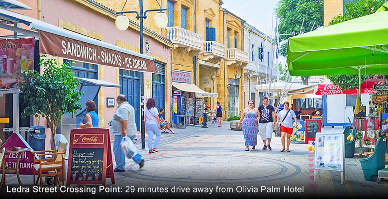 Olivia Palm Hotel