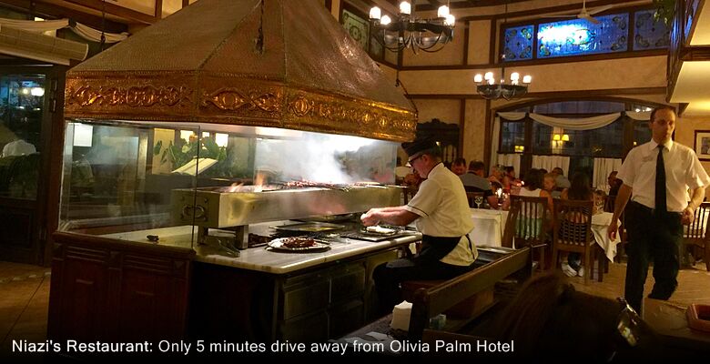 Olivia Palm Hotel