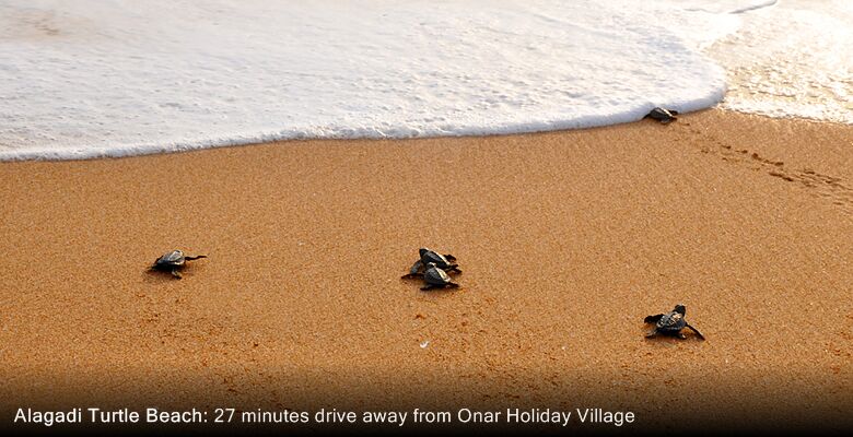 Onar Holiday Village